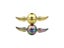 Golden Snitch Fidget Spinner For Stress Relief Figets Toy Carousel 6