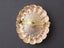 Large Cameo Porcelain Brooch - Fragonard Courting Couple Carousel 3