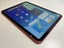 Apple iPad 10th Gen 256gb Pink Carousel 4