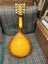 Brand New Real Wood Mandolin @ Lowest Price Carousel 4