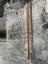 Black Maire Timber – 4.5m Total (2 Pieces: 150x55mm) Carousel 3