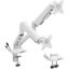 LUMI DTM94-C024UC FlexPrecision Cost-Effective Gas Spring Dual Monitor Arm with Carousel 1