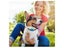 Dog Training Collar Clearance Clearance Carousel 3