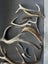 Bulk Deer Antlers - Dog Chews or Crafts Carousel 2
