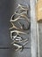 Bulk Deer Antlers - Dog Chews or Crafts Carousel 1