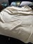 Cream vintage wool blanket single Carousel 1