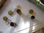 MICROSCOPE LENS +CLOCK BITS BOX LOT Carousel 9
