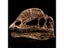 Dilophosaurus Ryrannosaurus Resin Dinosaur Skull Model Collection Carousel 2