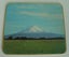 NZ Scenic Mid Century Place Mats Carousel 5