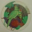 NZ Native Birds Circular Placemats Jasons Carousel 5