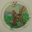 NZ Native Birds Circular Placemats Jasons Carousel 6