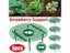 Strawberry Supports Keeping Plant Fruit Stand Vegetable Growing Rack Garden Carousel 3