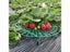 Strawberry Supports Keeping Plant Fruit Stand Vegetable Growing Rack Garden Carousel 4