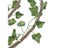 Loading Image 1 of 7
