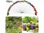 50Pcs 25x4cm Mini Butterfly Stakes Colorful Garden Butterflies For Outdoor Yard Carousel 3