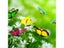 Bunch Of Butterflies Garden Yard Planter Colorful Whimsical Butterfly Stakes Carousel 6