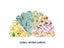 100PCS/120PCS Cartoon Round Strap Shape Band Aid Strips For Children Adult Skin Carousel 5