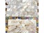 50pcs Rectangle FanshapePure White Color Shell Mother Of Pearl Mosaic Tile For Carousel 3