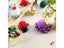 QZLKNIT DIY Handmade Doll Crochet Kit For Beginners Penguin Sewing Material Carousel 5