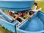 Stallion 50 teat feeder Carousel 4