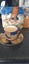 Royal Doulton Gnome Series Carousel 1