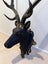 Authentic Charm: Real Antler Deer Head Mount Carousel 4