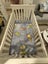 Baby Cot- almost new Carousel 2