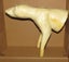 POSSUM HALF LIFESIZE ART TAXIDERMY ANIMAL FORM PROP 3D ARCHERY TARGET Carousel 2