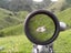 Guided Hunting - Auckland, Waikato, Hawkes Bay Carousel 6