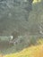 Guided Hunting - Auckland, Waikato, Hawkes Bay Carousel 10
