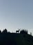 Guided Hunting - Auckland, Waikato, Hawkes Bay Carousel 8