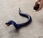 Remote Control Naja Cobra Snake Carousel 5
