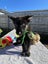 Puppies For Sale!! Carousel 3