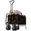Beach Trolley - Heavy Duty (black) Carousel 4