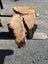 Solid Swamp Kauri Stump Piece Slab – Ideal for Woodworking Side Table Carousel 2