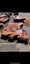 Solid Swamp Kauri Stump Piece Slab – Ideal for Woodworking Side Table Carousel 13