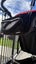 NEW CONDITION Mountain Buggy Urban Jungle Carry Cot Plus Set + Extras! Carousel 5