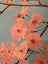 Original Cherry Blossom Painting – Modern Botanical Wall Art on Canvas Carousel 2