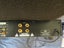 AMC Integrated Stereo Amplifier 3050a Carousel 6