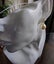 SALE! Gorgeous AUSTRALIAN GOLD PEARL & Crystal Earrings Carousel 10