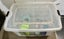 Mouse Mouse Cage with accessories- cat proof Carousel 2