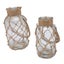 glass vase with hemp rope 2pcs Rope Net Dry Flower Glass Vase with Handle Rustic Carousel 7