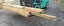 $1 Reserve - Mixed Pack of H4 Rough Sawn Timber Carousel 2