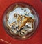 2010 Lunar Series Coin Set (2) Monetary Authority of Singapore Carousel 6