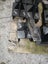 Digger Ripper for PC20 PC30 PC40 PC50 PC60 PC120 / SK15 SK20 SK35 SK60 SK120 Carousel 15