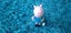 Loading Image 2 of 12