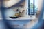gallery view thumbnail