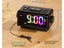 Digital Clock Dual Alarm Radio Carousel 14