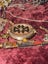 HUGE ESTATE LOT INCLUDING GOLD & SILVER Carousel 17