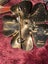 HUGE ESTATE LOT INCLUDING GOLD & SILVER Carousel 18